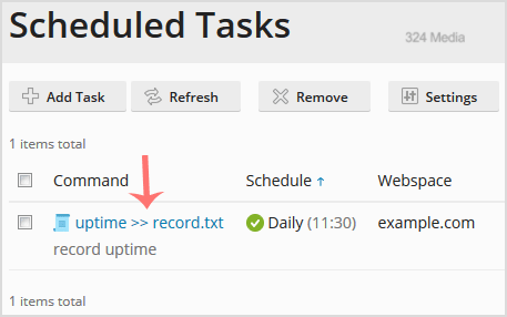 plesk-task-edit.gif